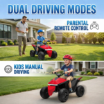 Dual modes of fun driving